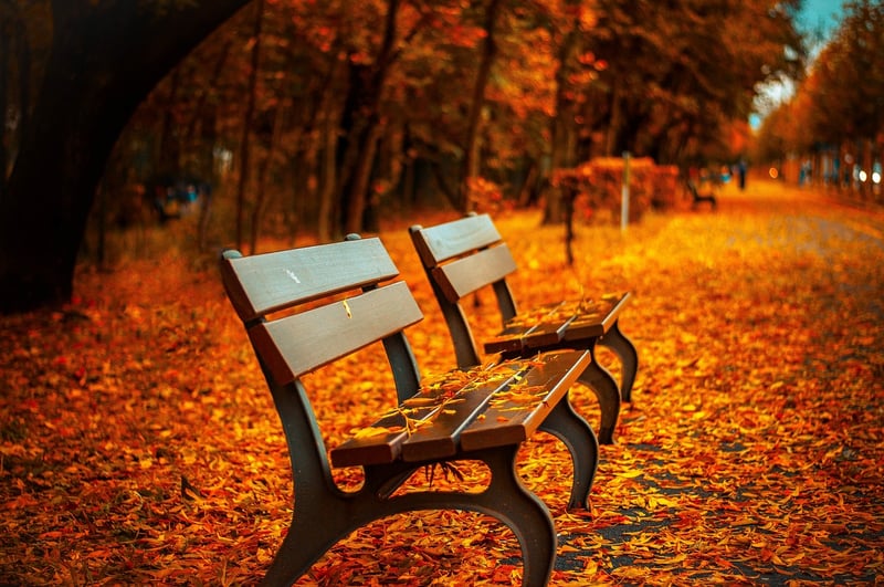 Autumn Table Setting